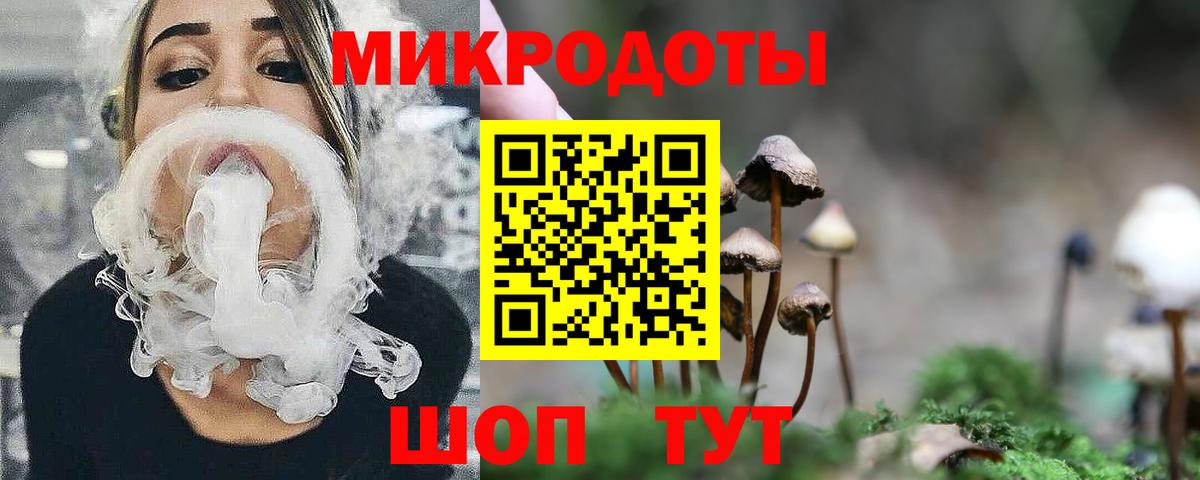 Воткинск  Галлюциногенные грибы мицелий  Вход с VPN  Псилоцибиновые грибы Psilocybe 
